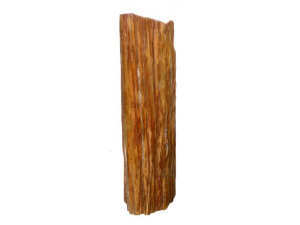 Versteinerter Teak Holz versteinerter Holzstamm 108 cm Hoch als Deko für Garten Teich
